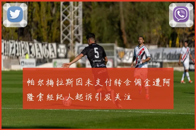 帕尔梅拉斯因未支付转会佣金遭阿隆索经纪人起诉引发关注