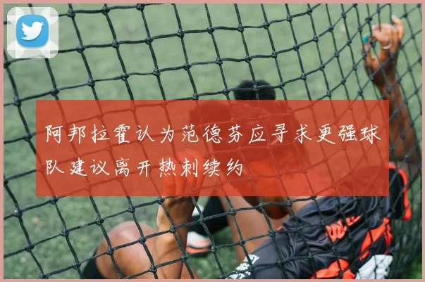 阿邦拉霍认为范德芬应寻求更强球队建议离开热刺续约