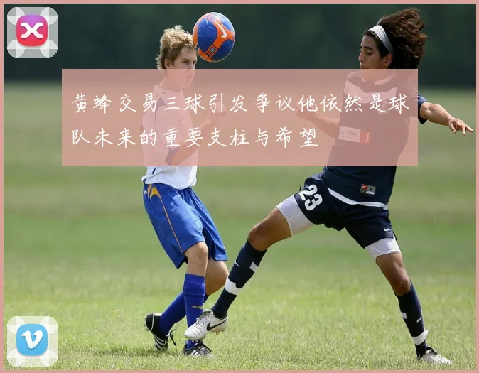 黄蜂交易三球引发争议他依然是球队未来的重要支柱与希望